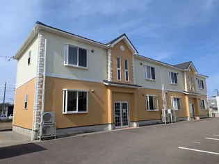 NEW COLOR PINEの画像