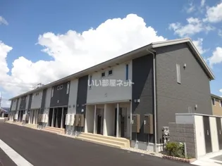 キキョウK Tの画像