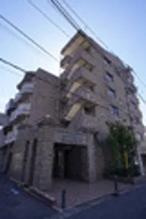 メイプルナインの画像