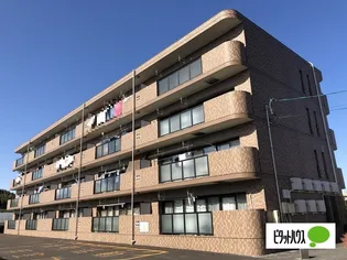 アマ デトワールの画像