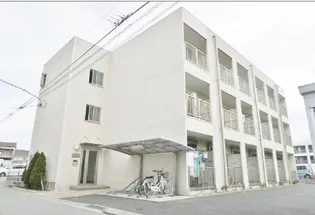 アンプルール フェール YAHAGIIIの画像