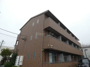 ウィルフォレストの画像
