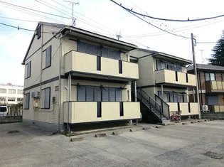 サンライズひまわりの画像