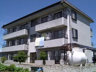 新日本ハイツの画像