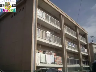 音無ハイツ【3階】の外観