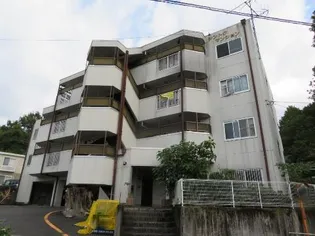 シントクマンション【2階】の外観