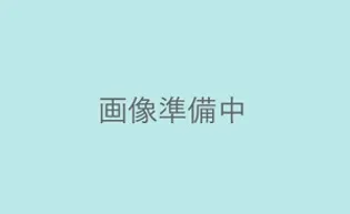 TEANA HONGOの画像
