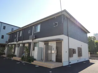 パティオ 紫苑の画像