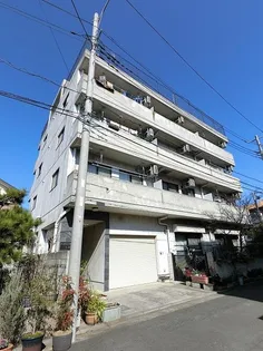 KAMLOOPS Y Cの画像