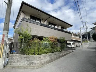 エクセルシスの画像