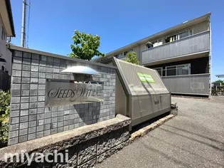 SEEDS WIT 北矢三の画像