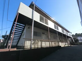 レピュート100 6の画像