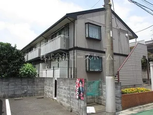 フラット サンフラワーの画像