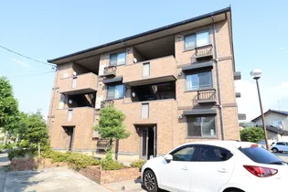 カメリア21の画像