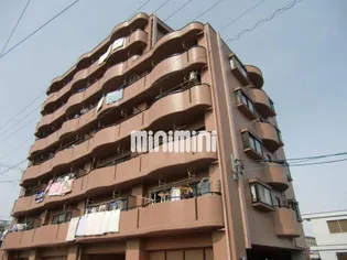 グレース早苗の画像