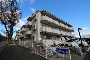 グレースコート男山の画像