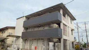 ホワイトヴェールの画像