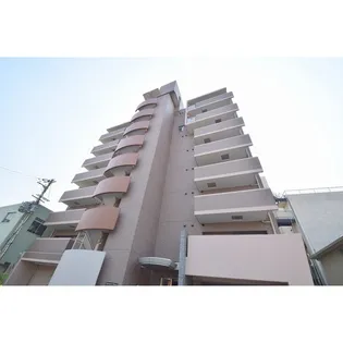 ターメリックスクエアの画像