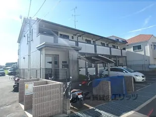 SOLEAD TANIMURAの画像