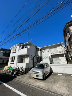 ハイム瀬里菜の画像