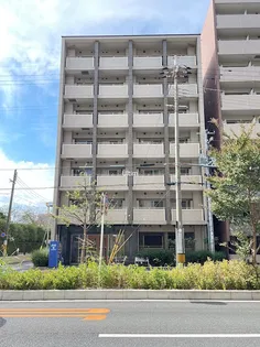 ステラ ランドの画像