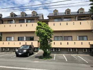 ハイツ夏栄【1階】の外観