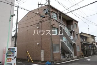 サンフラワー一番の画像