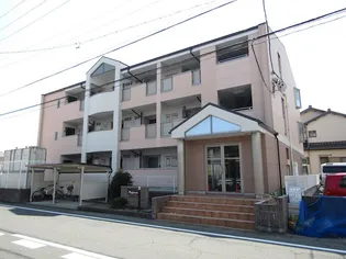 ラッフィナートの画像