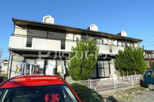 あすなろの画像