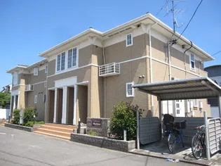 マンダリーノの画像