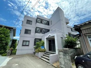 マンソン デ ビジェールの画像