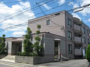 ローファス パートⅡの画像