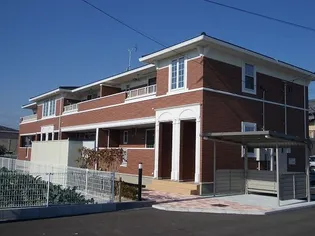 プラシードS IIIの画像