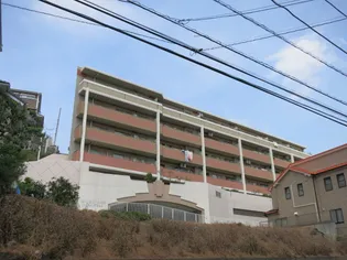 ナイスステージたまプラーザA館の画像