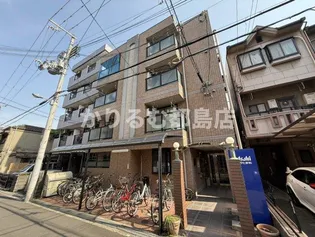 コートドリコの画像