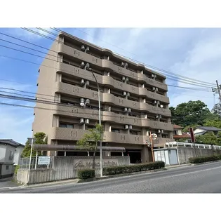 メゾン・インフィニティ【1階】の外観