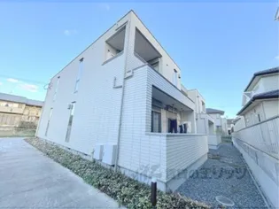 ORSA MAGGIOREの画像