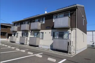 カレンデュラの画像