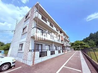 FEEL WOODSの画像