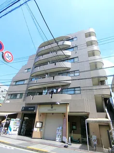 カーサーシンセラーの画像