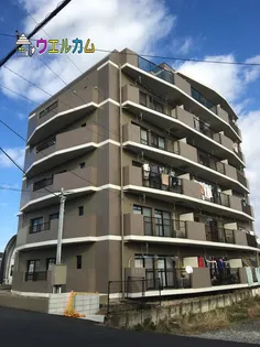 リバーサイドマリオの画像