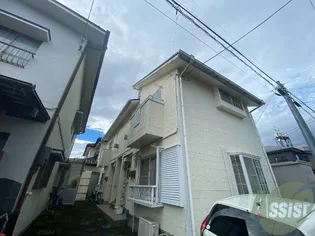 Mグローリーの画像