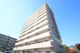 アピアイレブンの画像