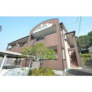 フェリーチェの画像