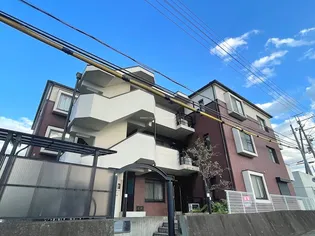 ボナールZの画像