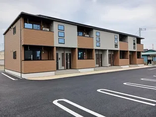 フラワールピナスの画像