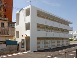 なでしこの画像