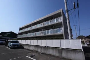 エス ミューラーの画像