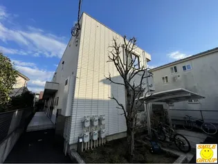 MAISON LIS BLANCの画像