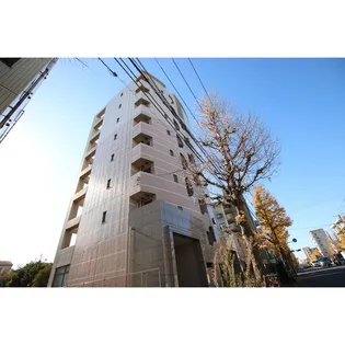 シャンドール小堀の画像